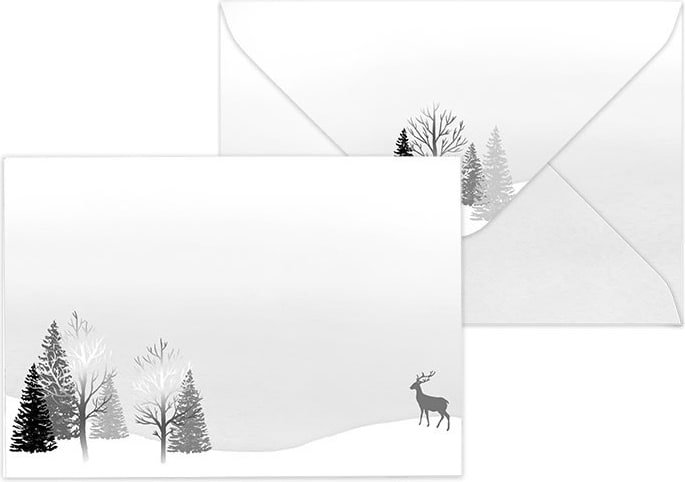 C6/10 kirjekuori Maisema hopeafolio - Kirjekuoret - 6417715031344 - 1