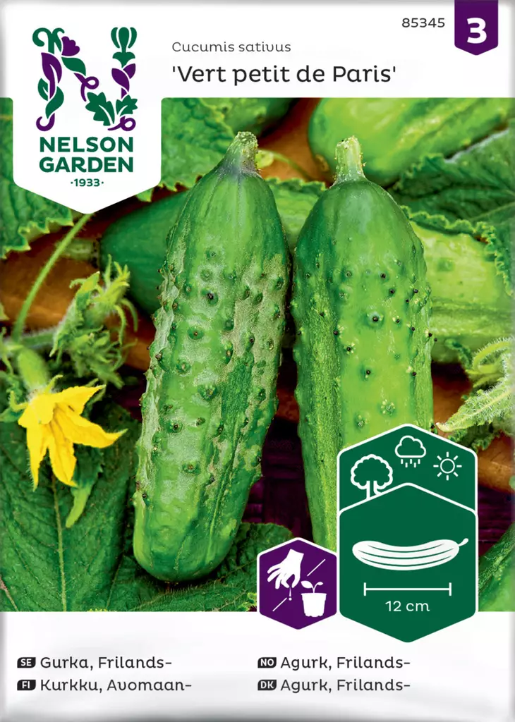 Kurkku, Avomaan-, Vert petit de Paris - Vihannesten ja hedelmien siemenet - 7312600853454 - 1