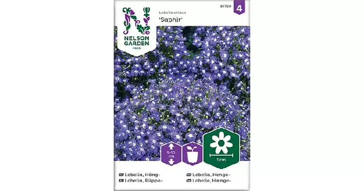 Lobelia, Riippa-, Saphir - Kukkien siemenet - 7312600877504 - 1