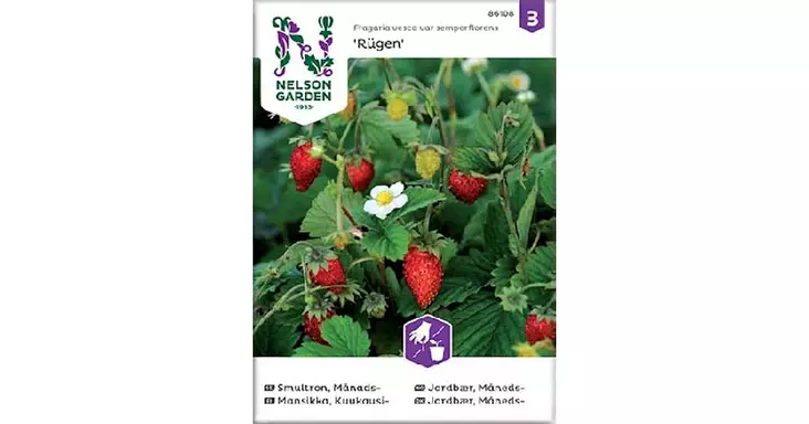 Mansikka, Kuukausi-, Rügen - Vihannesten ja hedelmien siemenet - 7312600861084 - 1