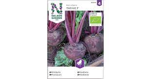 Punajuuri, Detroit 2, Organic - Vihannesten ja hedelmien siemenet - 7312600859494 - 1