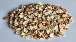 MAAPÄHKINÄ 25 Kg - Pähkinät - 6420614080054 - 1