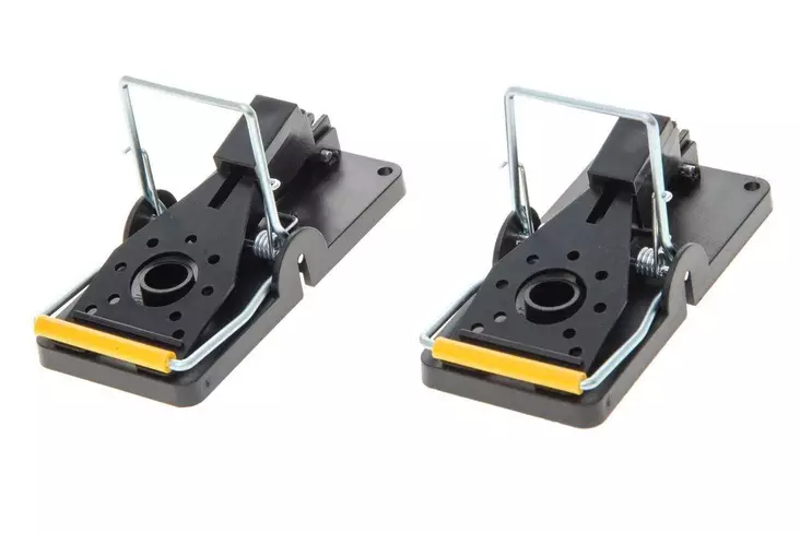 Rotex-2 Hiirenloukku 2 kpl - Jyrsijäloukut ja pyydykset - 6410412902924 - 1