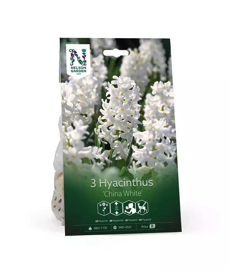 Syyssipuli Hyasintti, 'China White' - Siemenet ja sipulit - 7312603021034 - 1