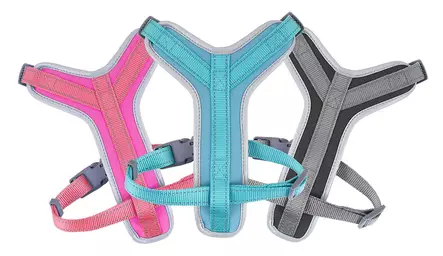 Best Friend #Pawsome koiran Y-valjas S 5-15kg 65cm - Koiran valjaat - 5700551141935 - 1