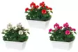 4Living Pelargonia parvekeruukussa - Tekokukat ja -kasvit - 6410412096425 - 1