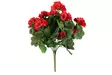 4Living Pelargonia kinppu punainen - Tekokukat ja -kasvit - 6410416529875 - 1