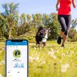 Tractive Pet Tracker koiran GPS-paikannin LTE/4G - Lemmikinpaikannustuotteet - 9120056451005 - 3