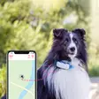 Tractive Pet Tracker koiran GPS-paikannin LTE/4G - Lemmikinpaikannustuotteet - 9120056451005 - 2