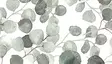 KONTAKTIMUOVI EUCALYPTUS - Tarrat ja magneetit - 4038563037665 - 1