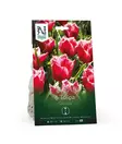 Syyssipuli Ripsureunainen tulppaani, 'Canasta'7,50 - Siemenet ja sipulit - 7312603021225 - 1