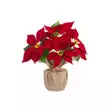 Winteria Joulutähti juuttiruukussa - Joulukoristeet - 6410416492285 - 1