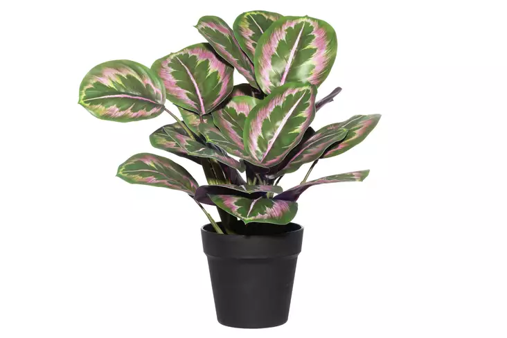 4Living Isomaija vaaleanpunainen - Tekokukat ja -kasvit - 6410416231785 - 1