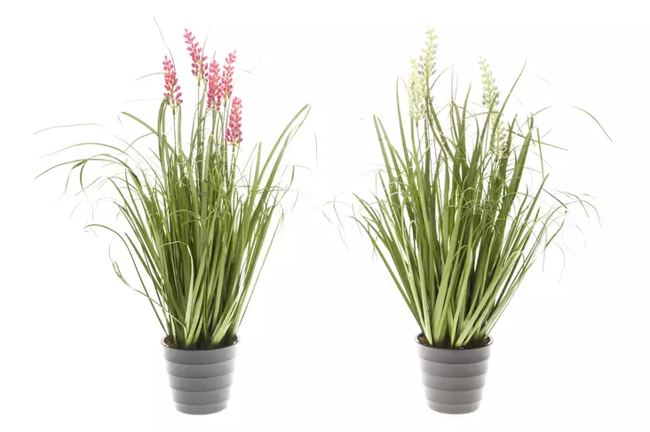 4Living Kukkiva Ruoho ruukussa 56 cm - Tekokukat ja -kasvit - 6410412866745 - 1