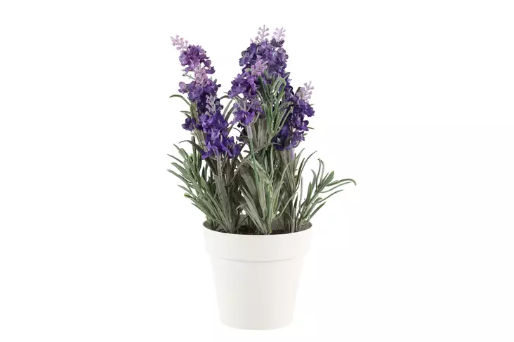 4Living Laventeli tummansininen 26 cm - Tekokukat ja -kasvit - 6410413288195 - 1