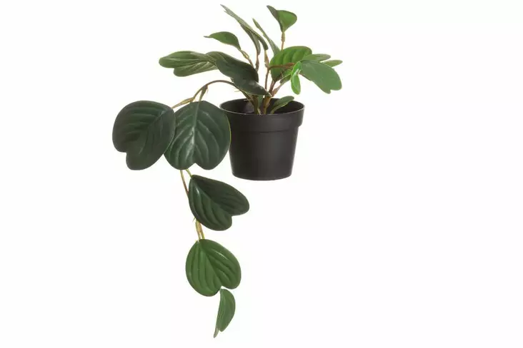 4Living Viherkasvi muorinkukka 38 cm - Tekokukat ja -kasvit - 6410416125275 - 1