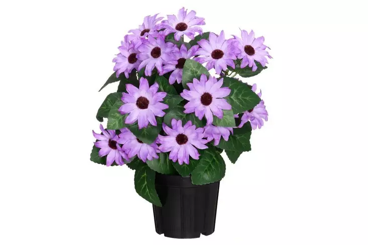 4Living Tähtisilmä ruukussa lila - Tekokukat ja -kasvit - 6410416529745 - 1