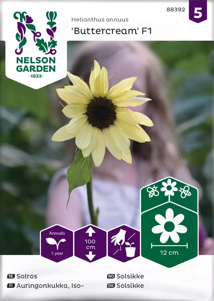 Auringonkukka, Iso-, Buttercream F1 - Kukkien siemenet - 7312600883925 - 1