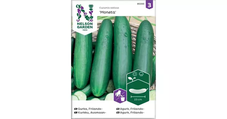 Kurkku, Avomaan-, Moneta, pitkä - Vihannesten ja hedelmien siemenet - 7312600853355 - 1
