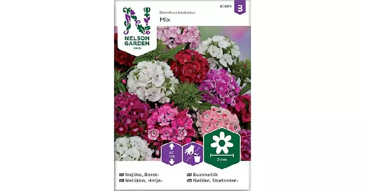 Neilikka, Harja-, seos - Kukkien siemenet - 7312600878945 - 1