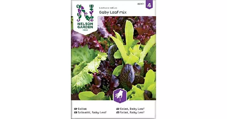 Salaatti, Baby Leaf, Seos - Vihannesten ja hedelmien siemenet - 7312600859715 - 1