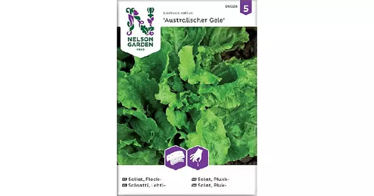 Salaatti, Lehti-,Australialainen,kylvöna - Vihannesten ja hedelmien siemenet - 7312600860285 - 1