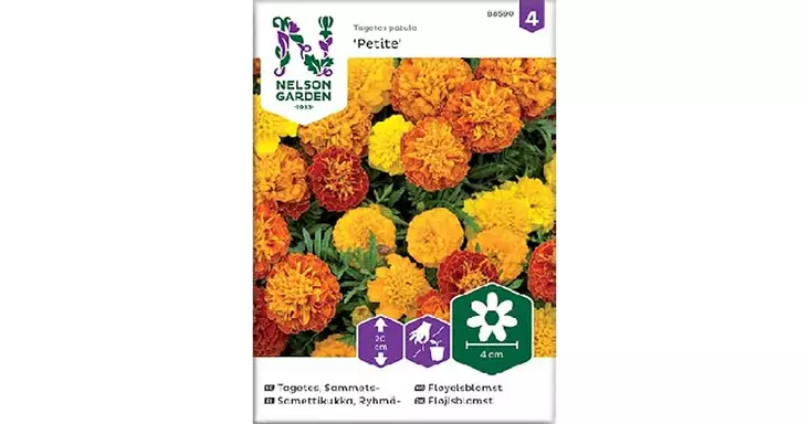 Samettikukka, Ryhmä-, Petite seos - Kukkien siemenet - 7312600885905 - 1