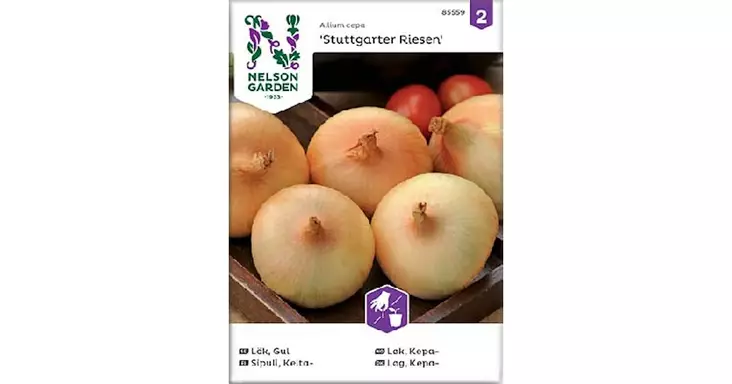 Sipuli, Kelta-, Stuttgarter Riesen - Vihannesten ja hedelmien siemenet - 7312600855595 - 1