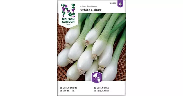 Sipuli, Pilli-, White Lisbon - Vihannesten ja hedelmien siemenet - 7312600855885 - 1