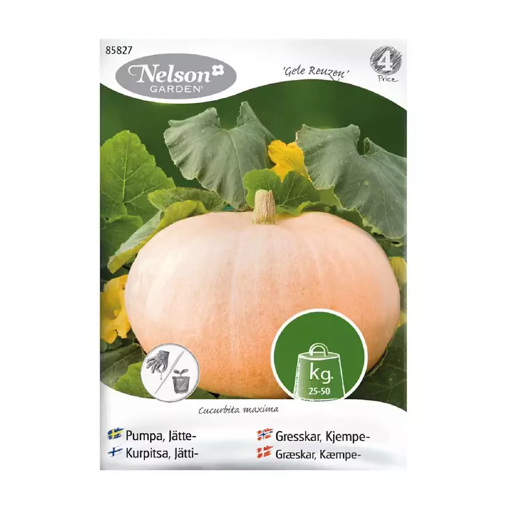 Kurpitsa, Jätti-, Gele Reuzen - Vihannesten ja hedelmien siemenet - 7312600858275 - 1
