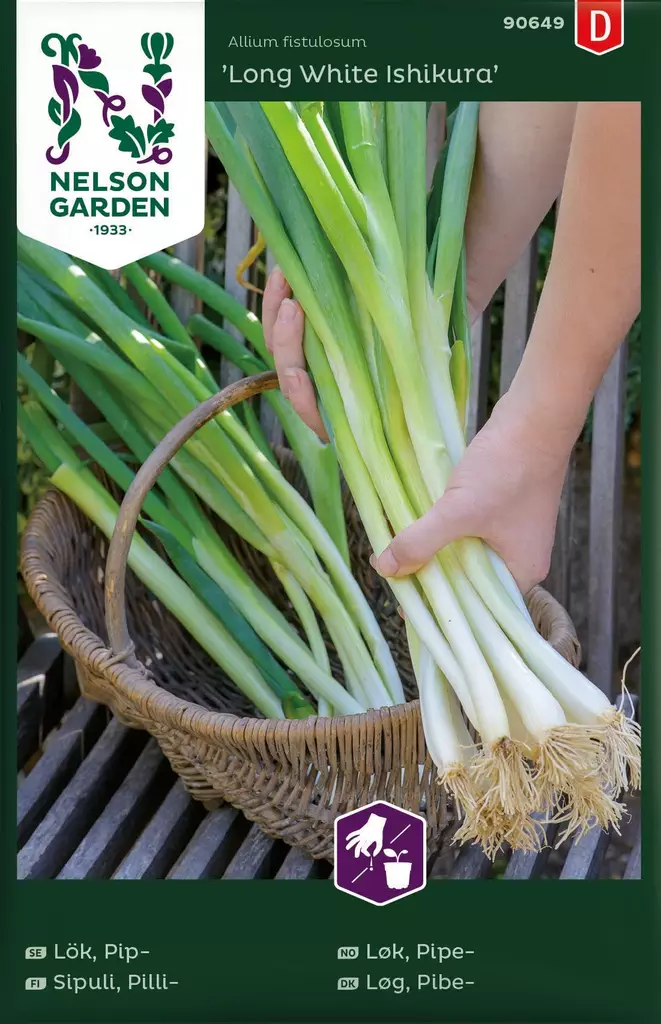 Sipuli, Pilli-,LongWhiteIshi, Kylvönauha - Vihannesten ja hedelmien siemenet - 7312600855915 - 1