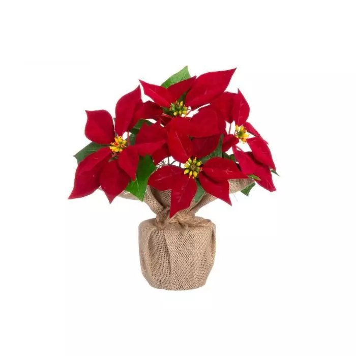 Winteria Joulutähti juuttiruukussa - Joulukoristeet - 6410416492285 - 1