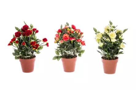 4Living Miniruusu ruukussa eri kuoseja. - Tekokukat ja -kasvit - 6410412729576 - 1