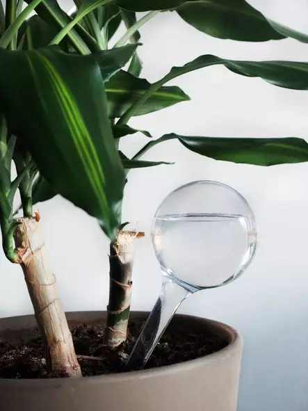 4Living Kastelupallo 2 kpl - Kastelukannut ja muut kastelutarvikkeet - 6410413249776 - 2