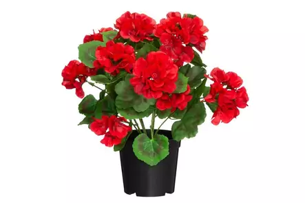 4Living Pelargonia ruukussa punainen - Tekokukat ja -kasvit - 6410416529806 - 1