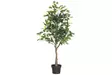 4Living Fiikus 110 cm - Tekokukat ja -kasvit - 6410413281646 - 1