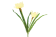 4Living Narsissi oksa 52 cm - Tekokukat ja -kasvit - 6410416318356 - 1