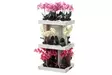 4Living Orkidea ruukussa 31cm - Tekokukat ja -kasvit - 6410412866516 - 1