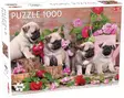 PALAPELI 1000 PALAA PUPPY PUGS - Palapelit - 6416739583136 - 1