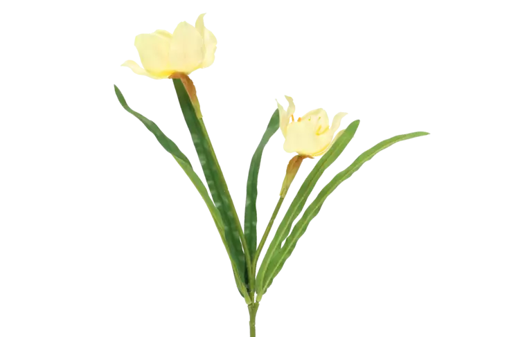 4Living Narsissi oksa 52 cm - Tekokukat ja -kasvit - 6410416318356 - 1