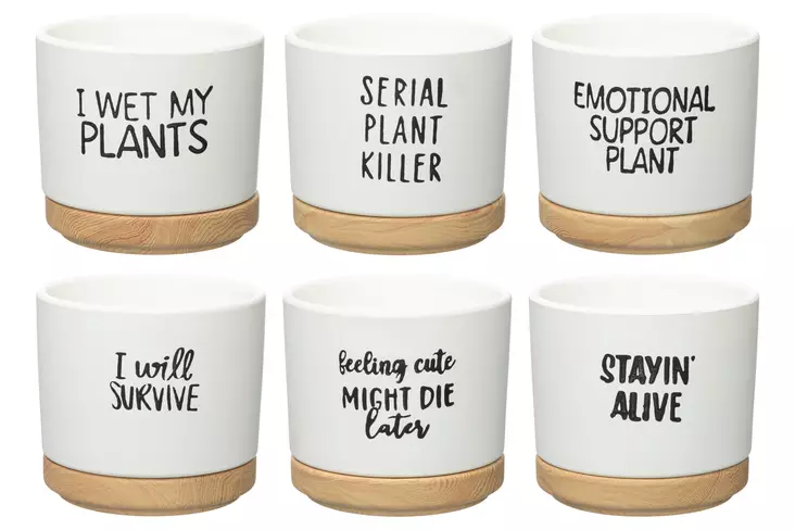 4Living Ruukku aluslautasella Quotes 12 cm lajitelma - Kukkaruukut ja -amppelit - 6410416536156 - 1