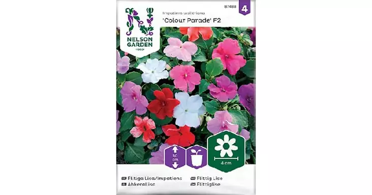 Ahkeraliisa, Colour Parade F2, väriseos - Kukkien siemenet - 7312600874886 - 1