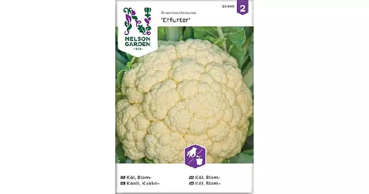 Kaali, Kukka-, Erfurt - Vihannesten ja hedelmien siemenet - 7312600854406 - 1