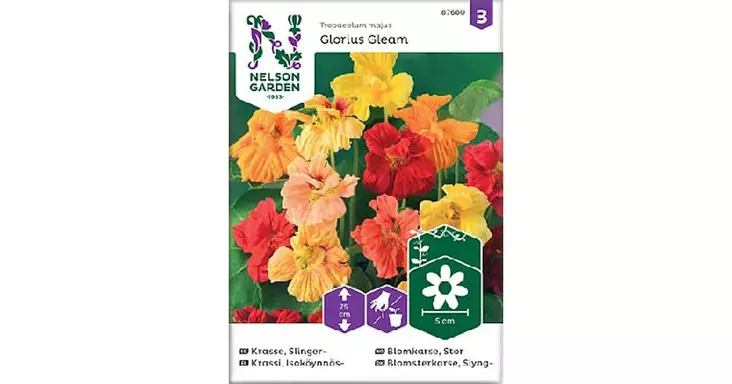 Krassi, Isoköynnös-, Glorious Gleam - Kukkien siemenet - 7312600876606 - 1