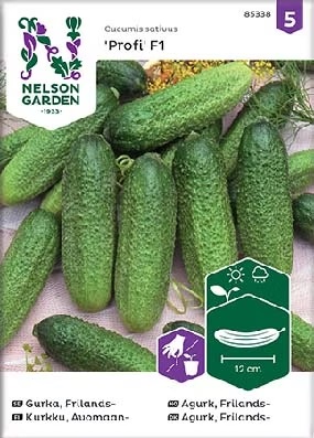 Kurkku, Avomaan-, Profi F1 - Vihannesten ja hedelmien siemenet - 7312600853386 - 1
