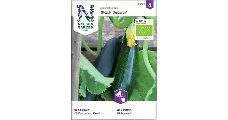Kurpitsa, Kesä-, Black Beauty, Organic - Vihannesten ja hedelmien siemenet - 7312600861336 - 1