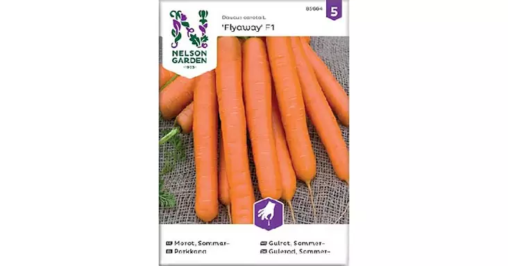 Porkkana, Flyaway F1 - Vihannesten ja hedelmien siemenet - 7312600856646 - 1