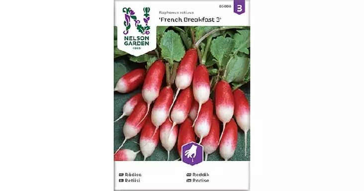 Retiisi, French Breakfast 3 - Vihannesten ja hedelmien siemenet - 7312600858886 - 1