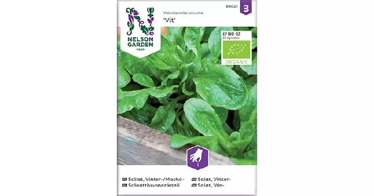 Salaattivuonankaali, Vit, Organic - Vihannesten ja hedelmien siemenet - 7312600860216 - 1