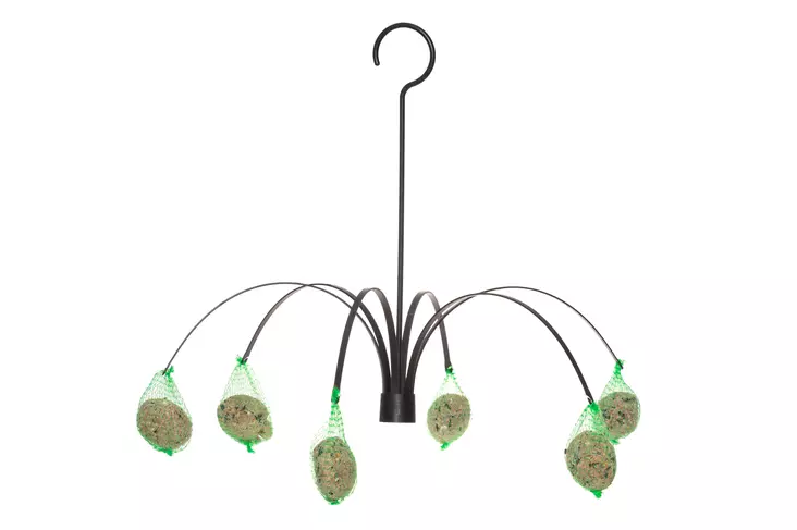 TINTTI TALIPALLOSYÖTIN PALMU - Linnunruokinta-automaatit - 6410413305656 - 1